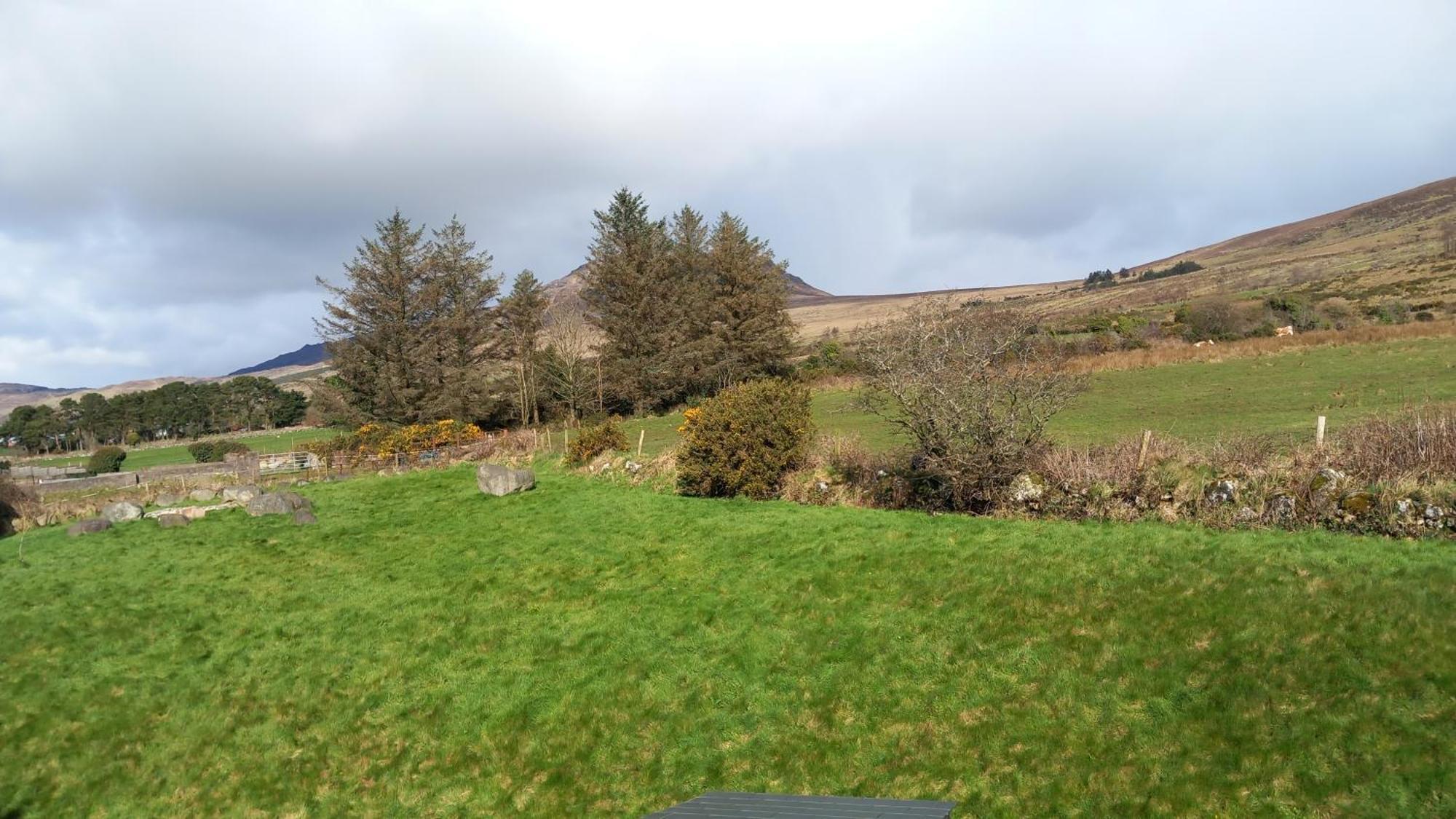 Safe Haven - Luxury Family Accommodation Carlingford Exterior foto